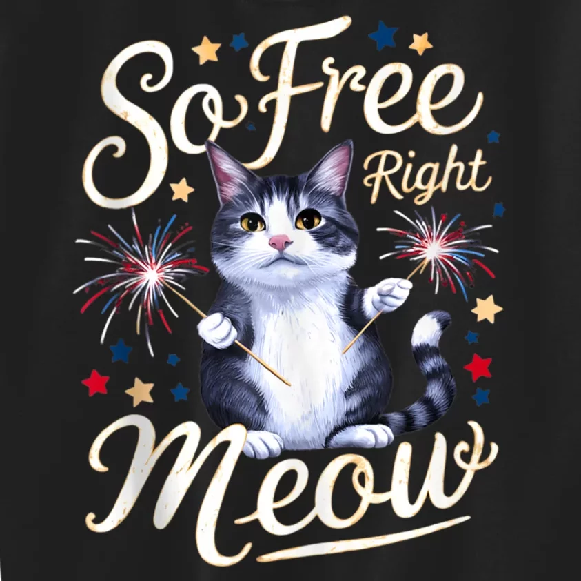 Im So Free Right Meow Funny 4th Of July Cat Independence Day Patriotic Cat Kids Sweatshirt