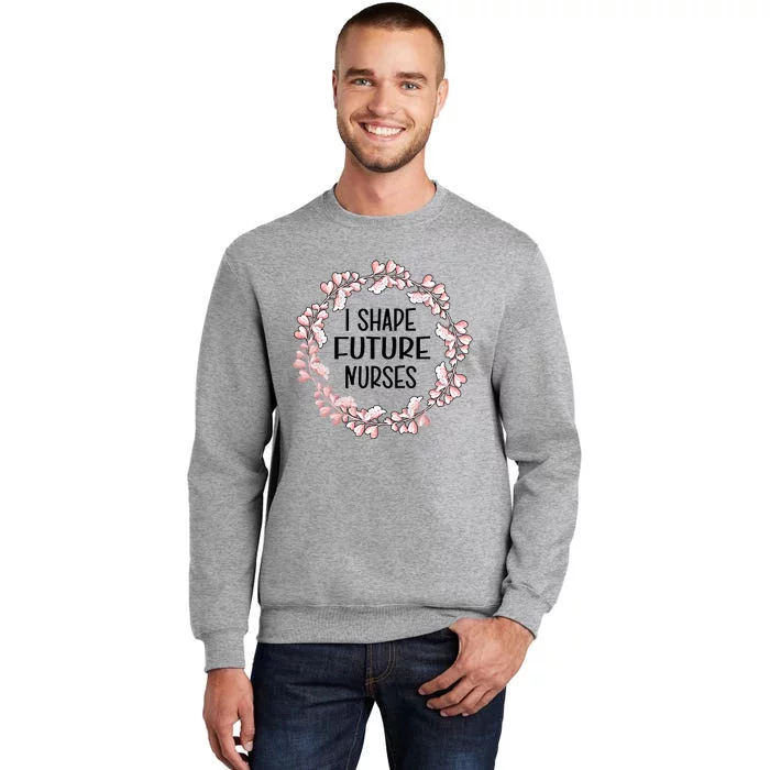 I Shape Future Nurses Clinical Instructor Gift Sweatshirt