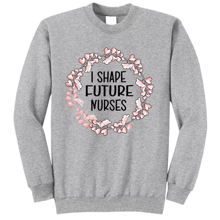 I Shape Future Nurses Clinical Instructor Gift Sweatshirt