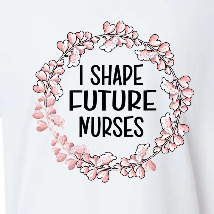 I Shape Future Nurses Clinical Instructor Gift Sueded Cloud Jersey T-Shirt