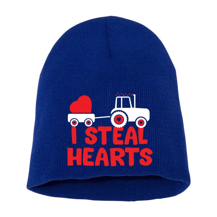 I Steal Hearts Dinosaur Valentines Day Toddle Gift Short Acrylic Beanie