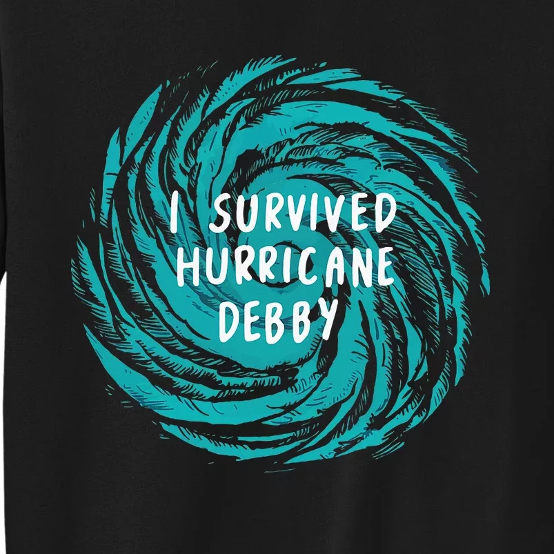 I Survived Hurricane Debby 2024 Florida Tall Sweatshirt