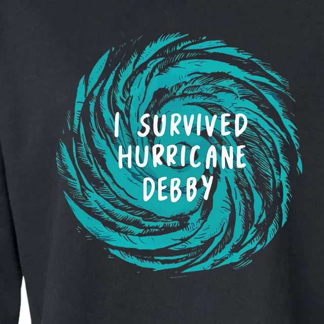 I Survived Hurricane Debby 2024 Florida Cropped Pullover Crew