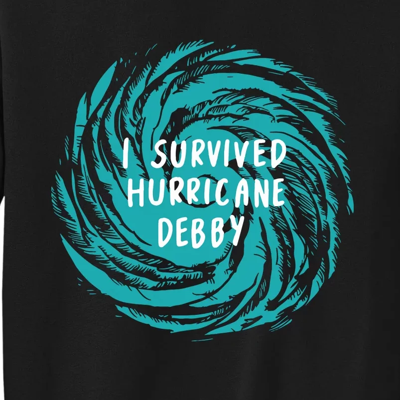 I Survived Hurricane Debby 2024 Florida Sweatshirt