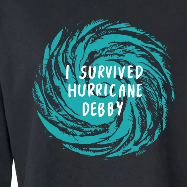 I Survived Hurricane Debby 2024 Florida Cropped Pullover Crew