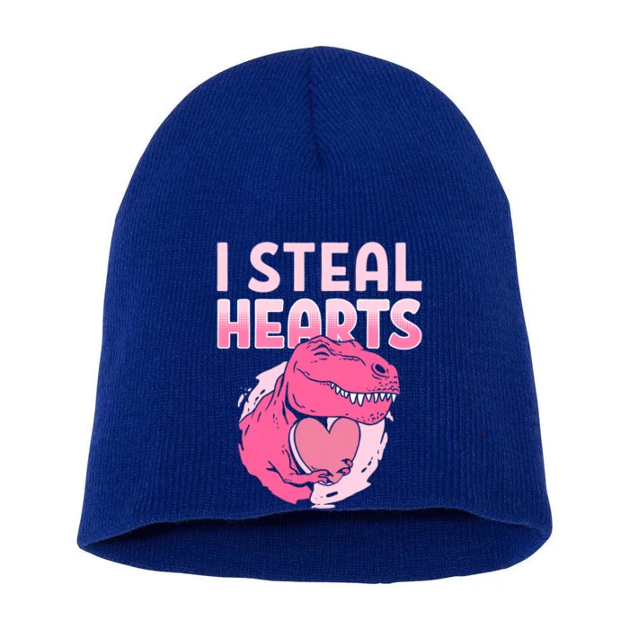 I Steal Hearts Valentine's Day Dinosaur Gift Short Acrylic Beanie