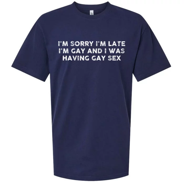 IM Sorry IM Late IM Gay And I Was Having Gay Sex Vintage Sueded Cloud Jersey T-Shirt