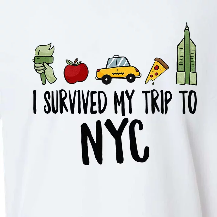 I Survived My Trip To NYC New York Bild Big Apple Sueded Cloud Jersey T-Shirt