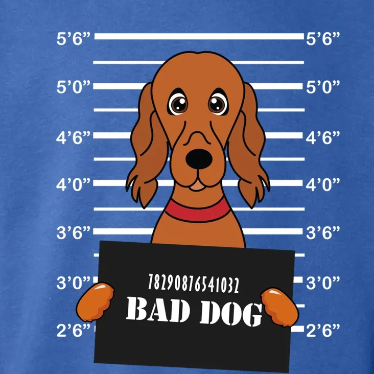 Irish Setter Mug Shot Bad Dog Mom Dad Gift Toddler Hoodie