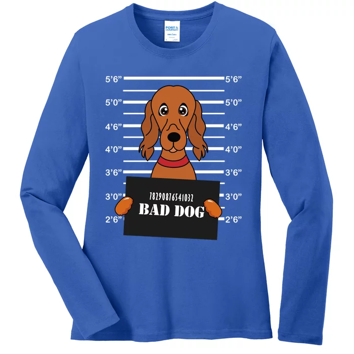 Irish Setter Mug Shot Bad Dog Mom Dad Gift Ladies Long Sleeve Shirt