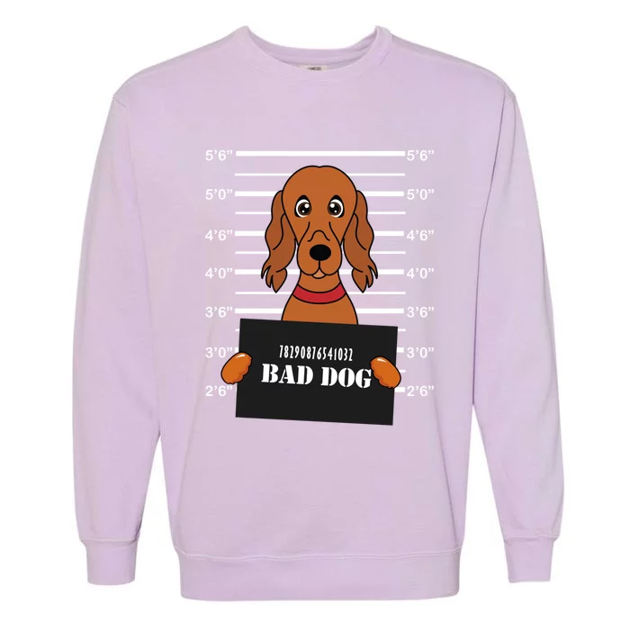 Irish Setter Mug Shot Bad Dog Mom Dad Gift Garment-Dyed Sweatshirt