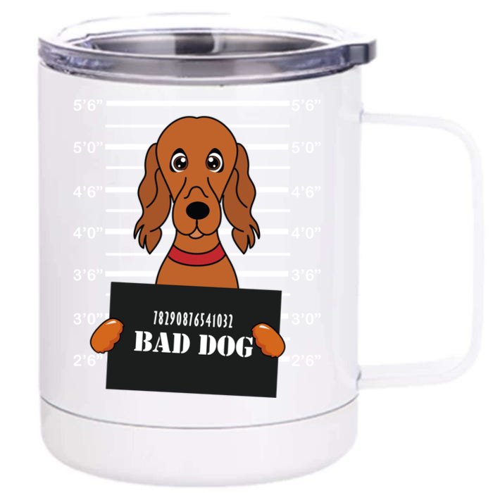 Irish Setter Mug Shot Bad Dog Mom Dad Gift Front & Back 12oz Stainless Steel Tumbler Cup