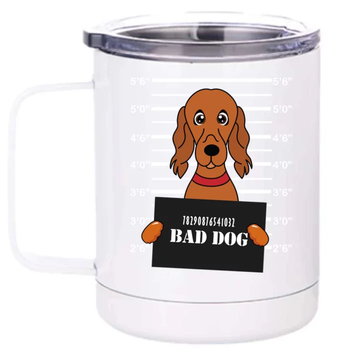 Irish Setter Mug Shot Bad Dog Mom Dad Gift Front & Back 12oz Stainless Steel Tumbler Cup