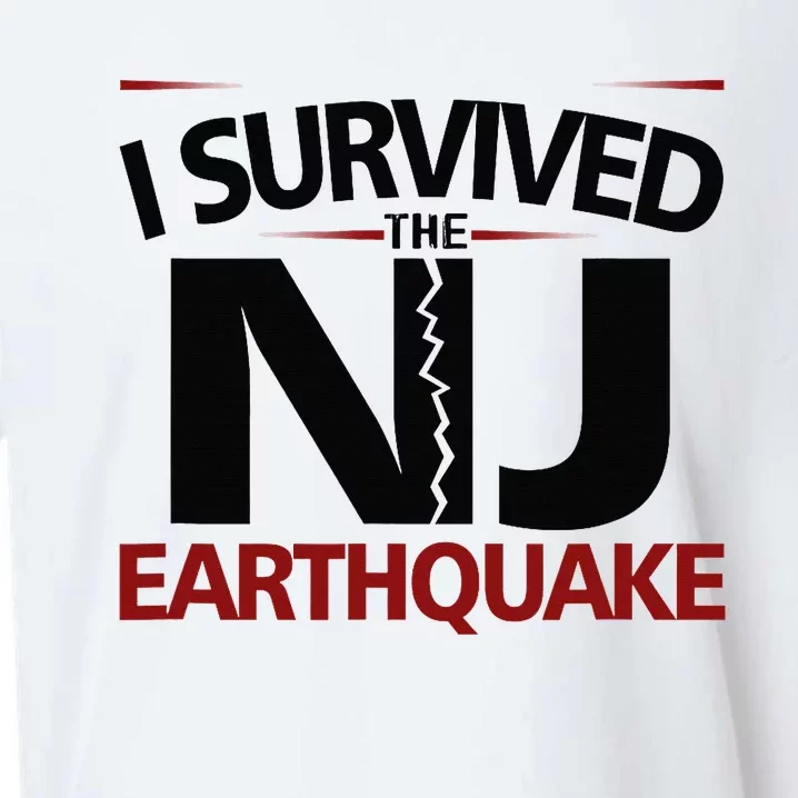 I Survived Nj Earthquake 2024 Sueded Cloud Jersey T-Shirt