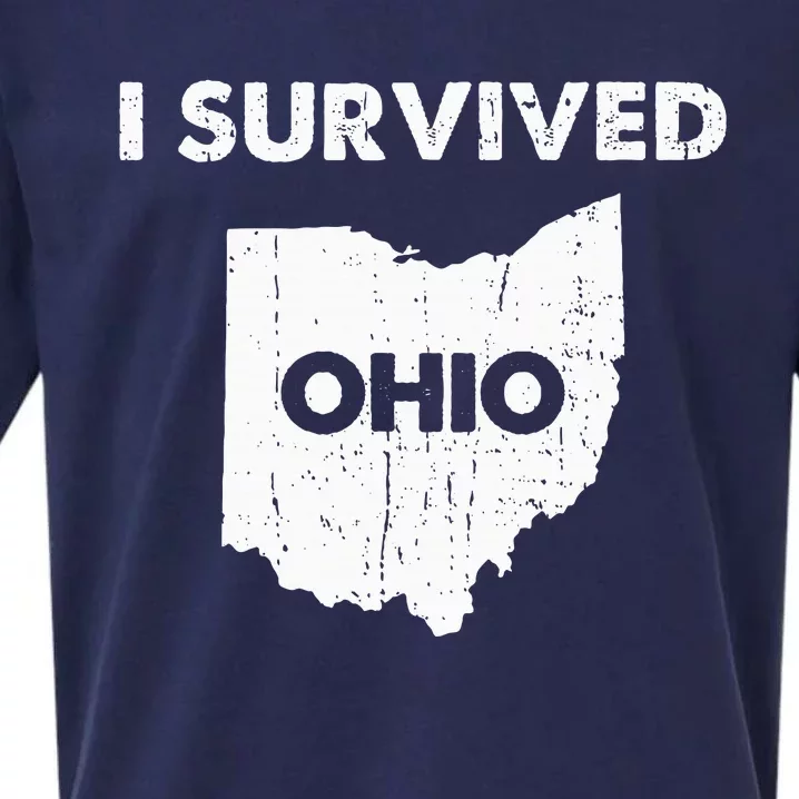 I Survived Ohio Sueded Cloud Jersey T-Shirt