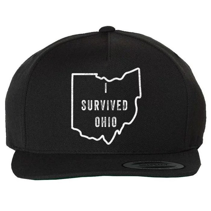 I Survived Ohio Meme Wool Snapback Cap