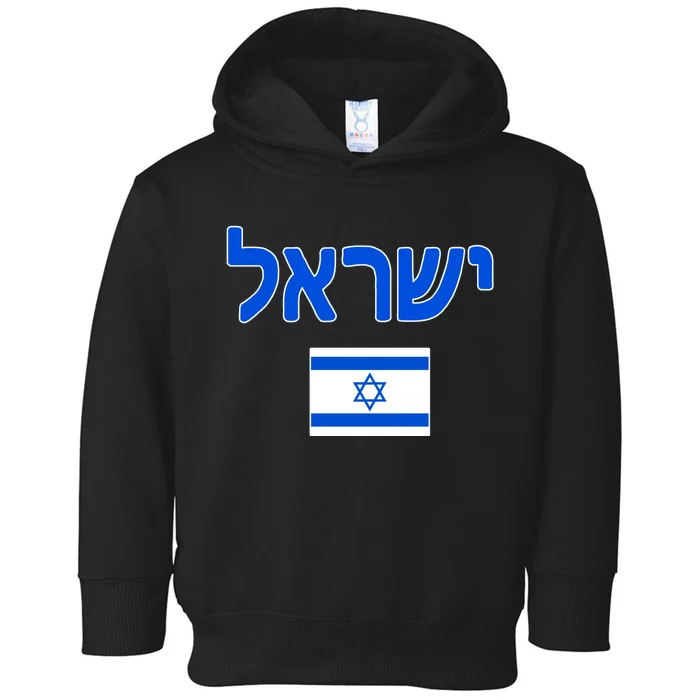 Israeli Flag Israel Toddler Hoodie