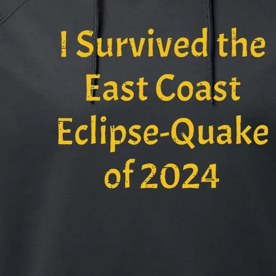 I Survived The East Coast Eclipse Quake Of 2024 Earthquake Performance Fleece Hoodie