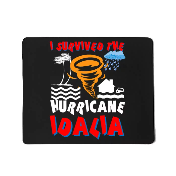 I Survived The Hurricane Idalia Mousepad