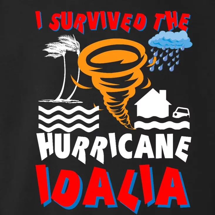 I Survived The Hurricane Idalia Toddler Hoodie