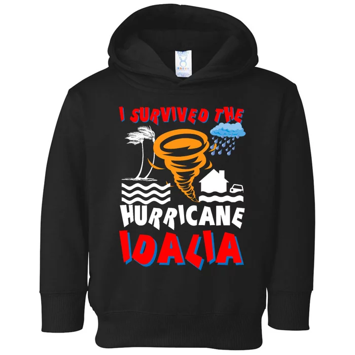 I Survived The Hurricane Idalia Toddler Hoodie