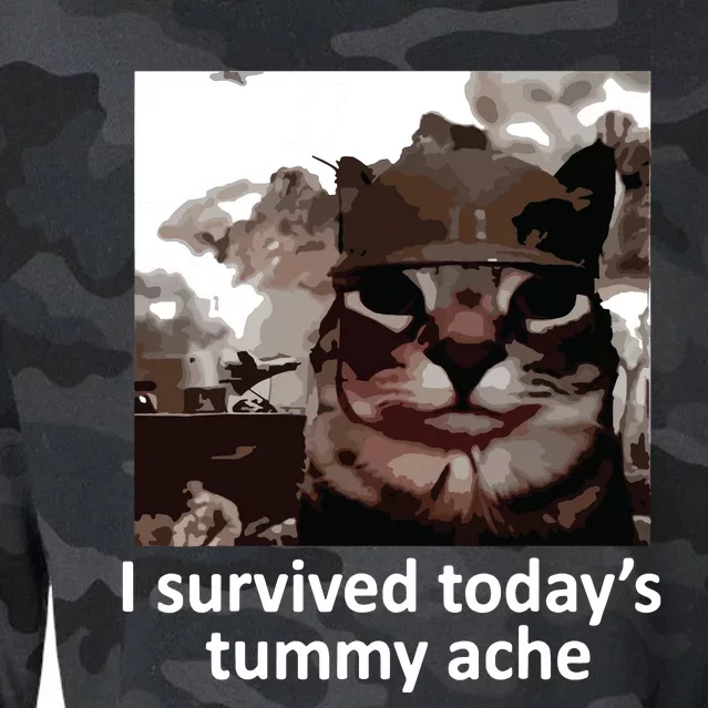 I Survived Todays Tummy Ache Cropped Pullover Crew