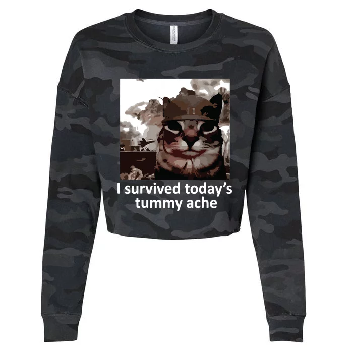 I Survived Todays Tummy Ache Cropped Pullover Crew