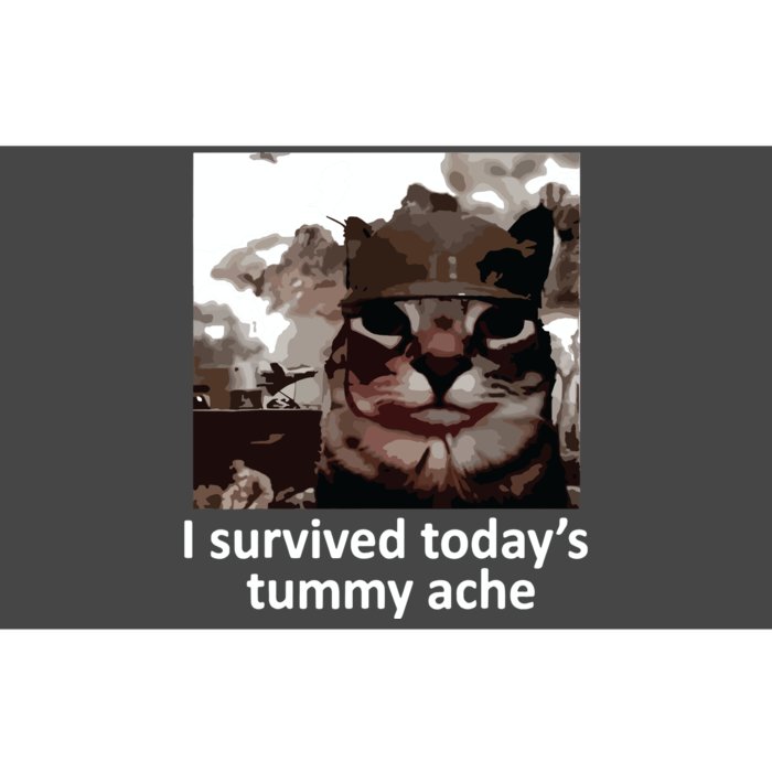 I Survived Todays Tummy Ache Bumper Sticker