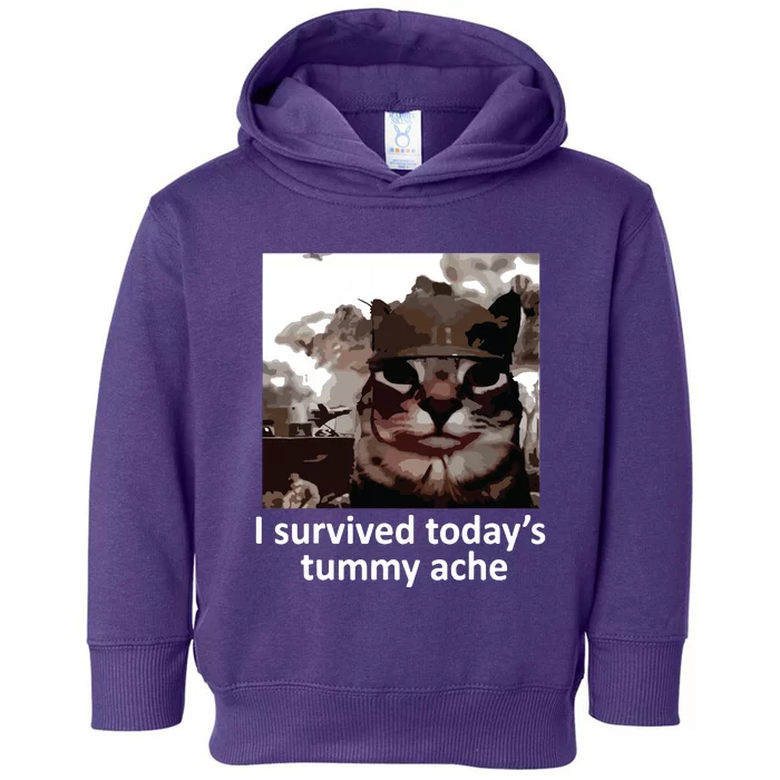 I Survived Todays Tummy Ache Toddler Hoodie