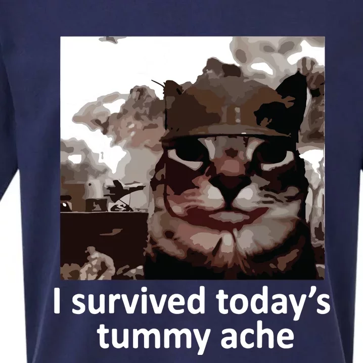 I Survived Todays Tummy Ache Sueded Cloud Jersey T-Shirt