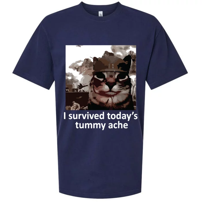 I Survived Todays Tummy Ache Sueded Cloud Jersey T-Shirt