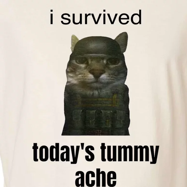 I Survived TodayS Tummy Ache Garment-Dyed Women's Muscle Tee