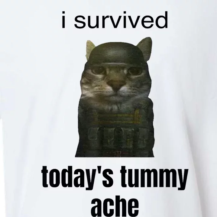 I Survived TodayS Tummy Ache Sueded Cloud Jersey T-Shirt