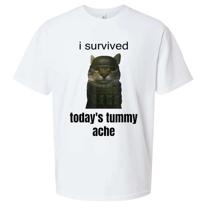 I Survived TodayS Tummy Ache Sueded Cloud Jersey T-Shirt