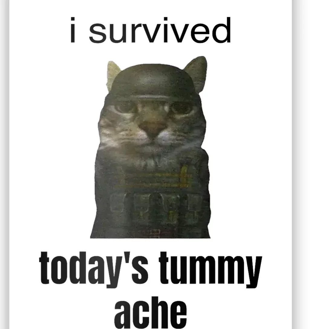 I Survived TodayS Tummy Ache Poster