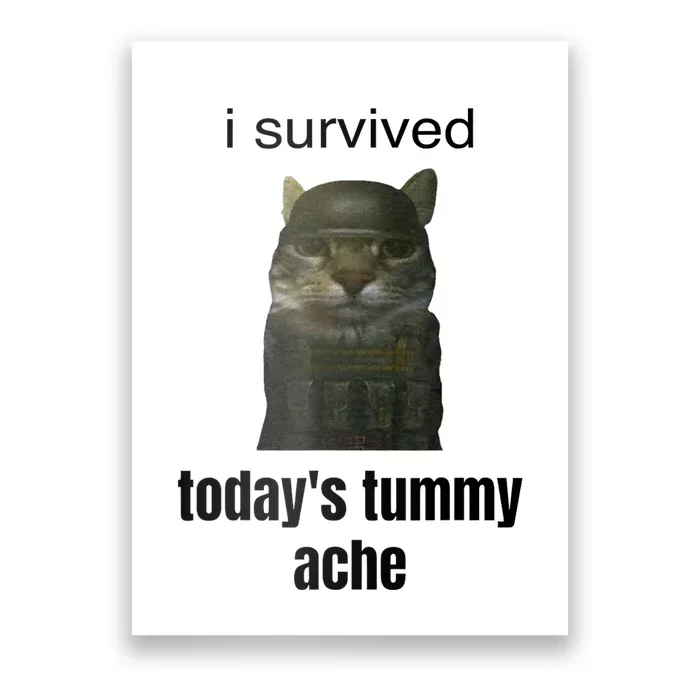 I Survived TodayS Tummy Ache Poster