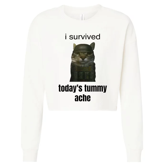 I Survived TodayS Tummy Ache Cropped Pullover Crew