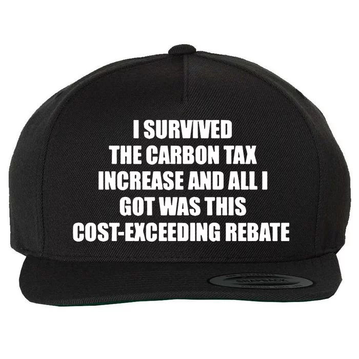 I Survived The Carbon Tax Increase And All I Got Was This Costexceeding Rebate Wool Snapback Cap