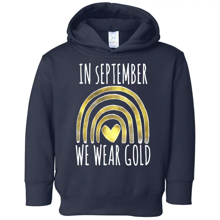 In September We Wear Gold Childhood Cancer Rainbow Toddler Hoodie