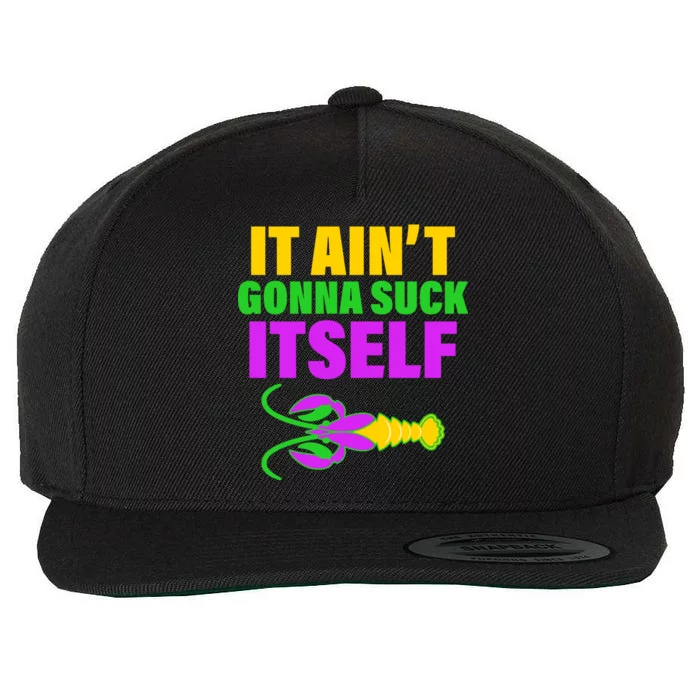 It Ain't Gonna Suck Itself Offensives Mardi Gras Wool Snapback Cap