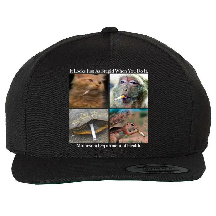 It Looks Just As Stupid When You Do It Wool Snapback Cap