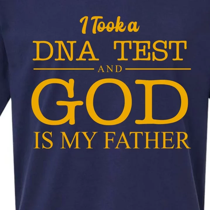 I Took A DNA Test And God Is My Father Sueded Cloud Jersey T-Shirt