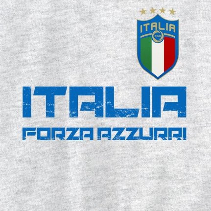 Italia Forza Azzurri Soccer FutbolItaly Flag Logo Kids Sweatshirt