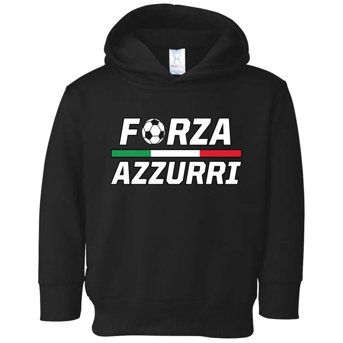 Italian Soccer Forza Azzurri Toddler Hoodie