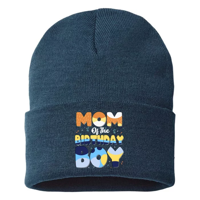 Im The Birthday Boy Dog Family Matching Sustainable Knit Beanie