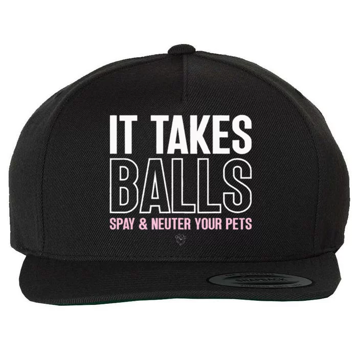 It Takes Balls Spay And Neuter Your Pets Saying Design Wool Snapback Cap