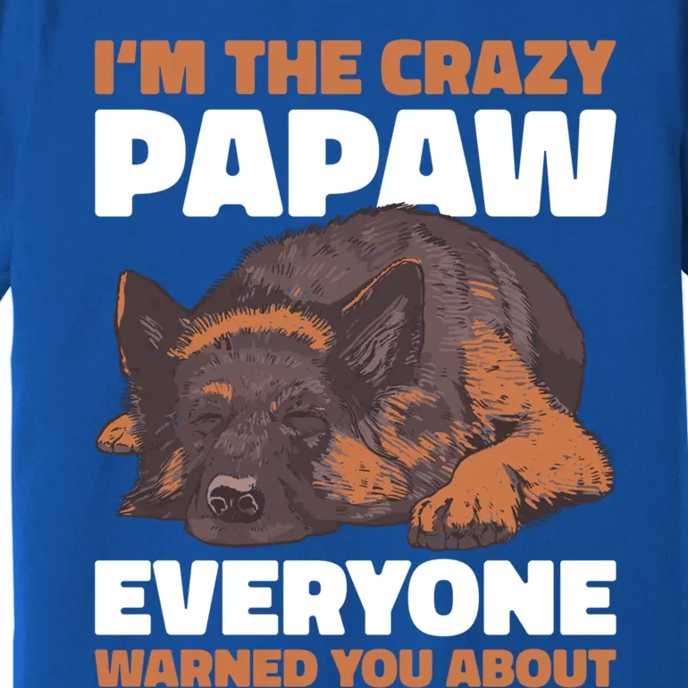 I'm The Crazy Papaw Everyone Warned You For Father's Day Great Gift Premium T-Shirt