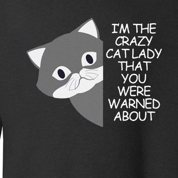 IM The Crazy Cat Lady That You Were Warned About Kamala 47 Toddler Sweatshirt