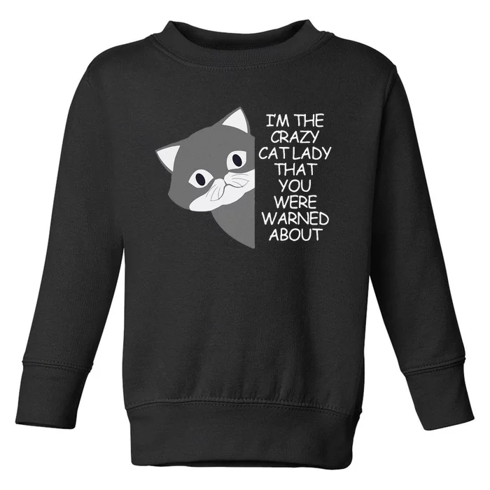 IM The Crazy Cat Lady That You Were Warned About Kamala 47 Toddler Sweatshirt