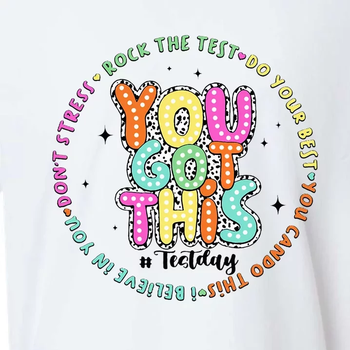 It’S Test Day You Got This Rock The Test Dalmatian Dots Sueded Cloud Jersey T-Shirt